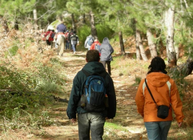 Rutas guiadas de trekking.jpg